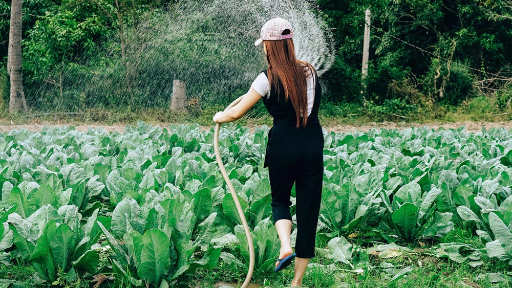 gardener-12